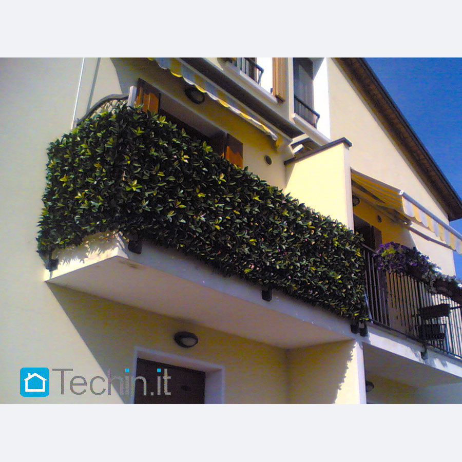 siepe finta mod. Photinia,