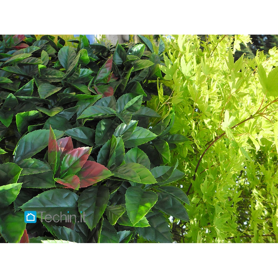 Siepi artificiali da giardino: catalogo fiori e piante rampicanti ...