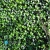 Artificial hedge Jasmine