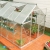 Greenhouse Garden, SILVER HOUSE HYBRID